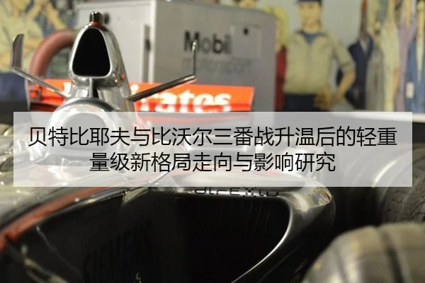 bei-te-bi-ye-fu-yu-bi-wo-er-san-fan-zhan-sheng-wen-hou-de-qing-zhong-liang-ji-xin-ge-ju-zou-xiang-yu-ying-xiang-yan-jiu-2-539.jpg