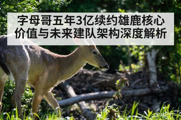 字母哥五年3亿续约雄鹿核心价值与未来建队架构深度解析